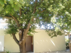  Apartments Angela  Биоград На Мору